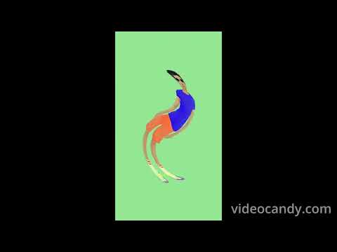 Combo:jump rope & dodge ball