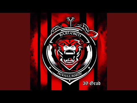 Fsv Barleben (Mein Verein)