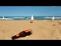 Google Pixel 2XL Amazing Seagull Feeding Frenzy In Slow Motion SUPER HQ