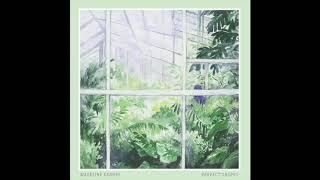 Madeline Kenney - "Perfect Shapes" (audio only)