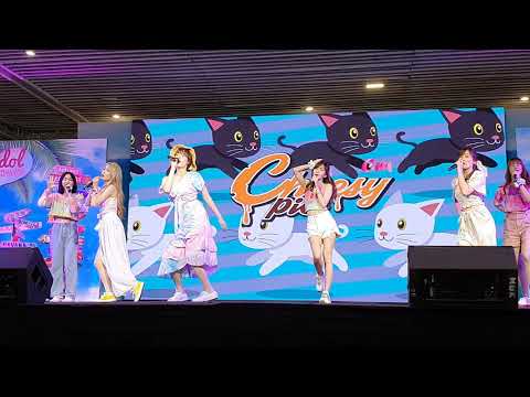 S100419 Cheesy​ Pie - ทาสแมว Idol Exchange ALOHA @ MBK center #GachikoiidolClub