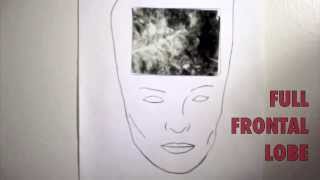 Full Frontal Lobe - William Adams
