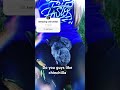 Chinchilla madness