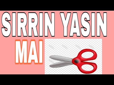 YASIN MAI ALMAKASHI KAR ABAKA LABARI