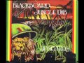 Lee Perry and The Upsetters - Black board Jungle Dub - 01 - Original Jungle Dub