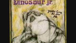 Dinosaur Jr - Raisans