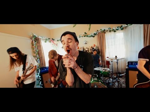 No! Not The Bees! - Daylight (Official Music Video)