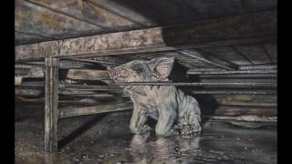 The Pig Project 1 - The forgotten