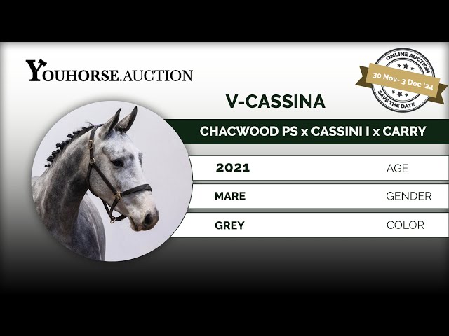V-Cassina