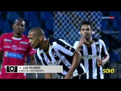 Luis Ricardo |BOTAFOGO| 2015-2016 |HD|