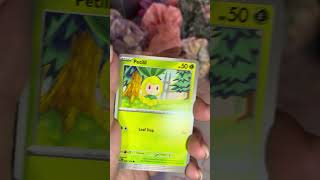 Part 2 of what I got while ripping packs with my spouse #pokemoncollector #pokemon #asmr #pokemontcg