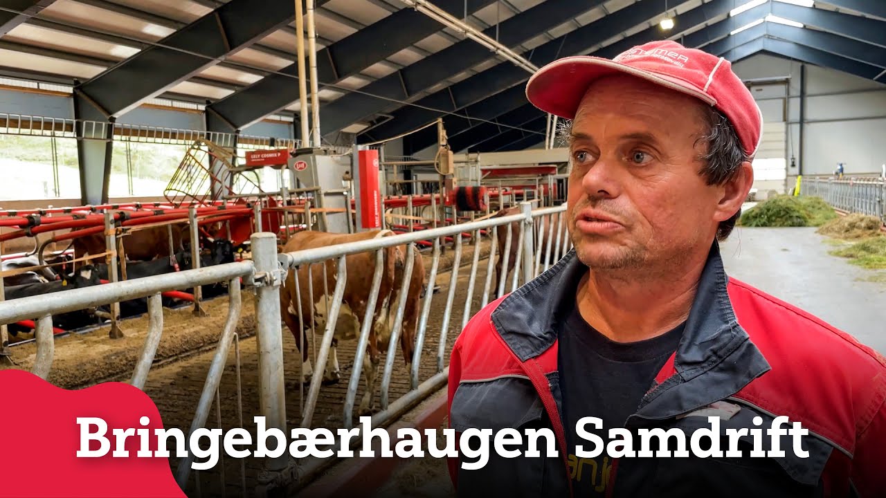 Vi besøker Bringebærhaugen Samdrift