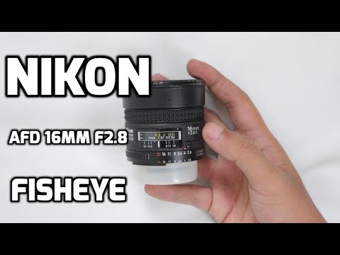 Video thumbnail for Video Review 3