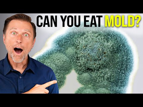 Is Mold Dangerous to Eat?