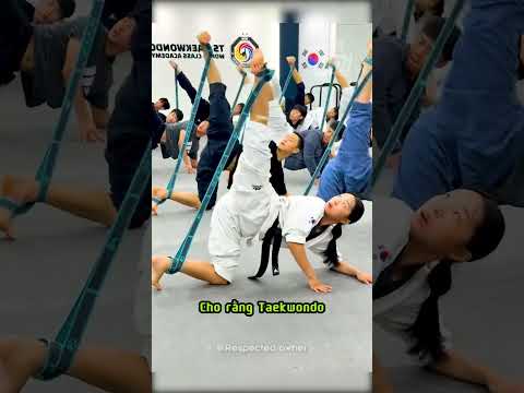 Người Hàn Quốc Từng Ghét Taekwondo Cay Đắng
