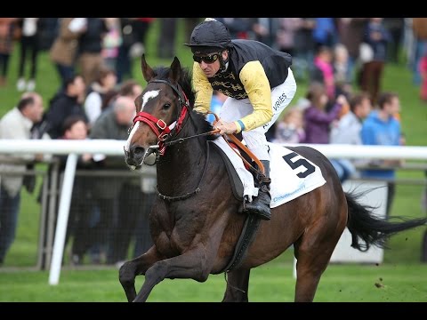 Hannover: Sea The Moon-Rennen (D) - Sieger: Shimrano