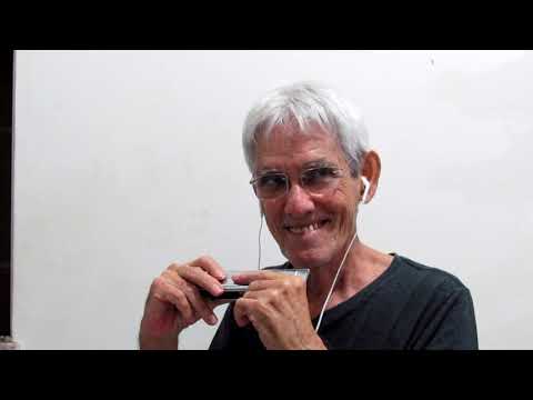 Frank Sinatra - Fly me to the moon - D O C - harmonica cover