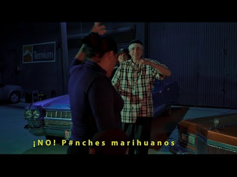 Chikano Jcr - VIERAS COMO SE SIENTE Ft. Coko Yamasaki (Video Official) #birdsmusic #laclika