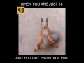 Dancing squirrel very funny video