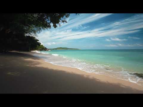 Relaxation. Tropical beach. Background splash screen. (4K video) Thailand. Phuket. Sangchai beach