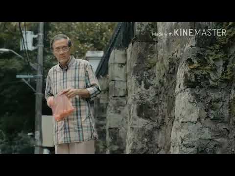 Relationship of dog and man/humanity and dogality