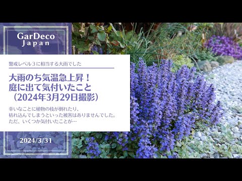 キノコの季節に最適なヒント 庭の練習