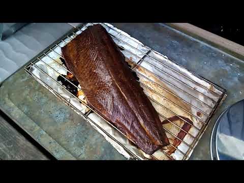 Sähkösavutettu kirjolohi