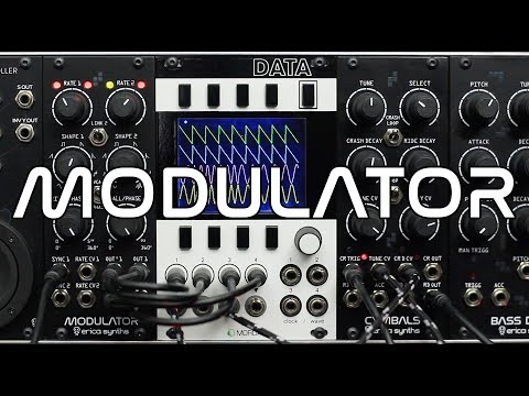 Erica Synths Drum Modulator image 2