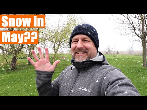 5月の雪?ボーナス英語リスニング練習レッスン (Snow in May?? A Bonus English Listening Practice Lesson)