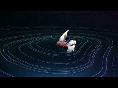 Jetzt wird es magisch!