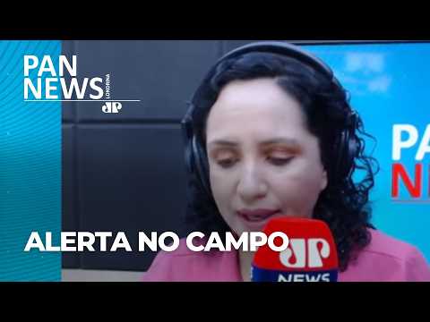 Novo foco de raiva animal é confirmado pela Adapar em Sertanópolis