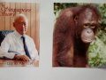 Singapore Lee Kuan Yew and Urang Utan look.