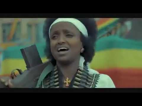 ግፋ በለው የገፋል በግዱ