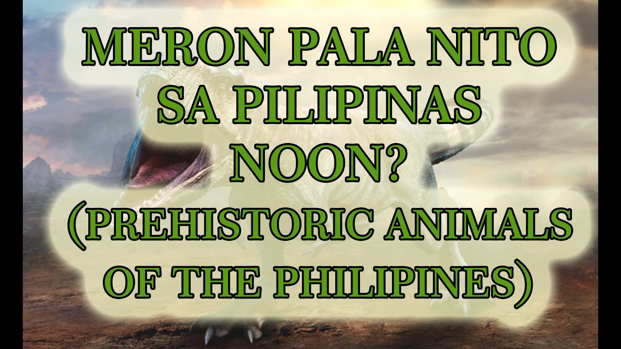 Putar video 7 HAYOP NA DI MO AKALAING NANINIRAHAN SA PILIPINAS NOONG SINAUNANG PANAHON sekarang 7 HAYOP NA DI MO AKALAING NANINIRAHAN SA PILIPINAS NOONG SINAUNANG PANAHON