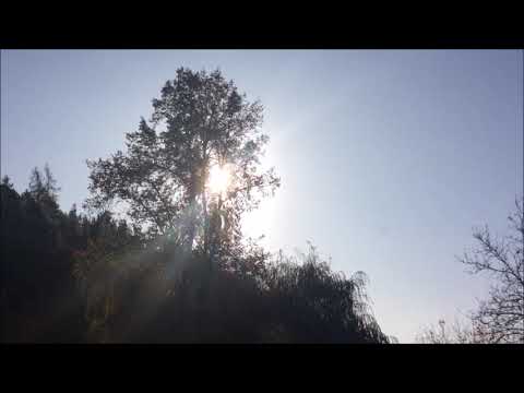 Synchronicity jam #005 Kemin (Zoom ARQ 96)