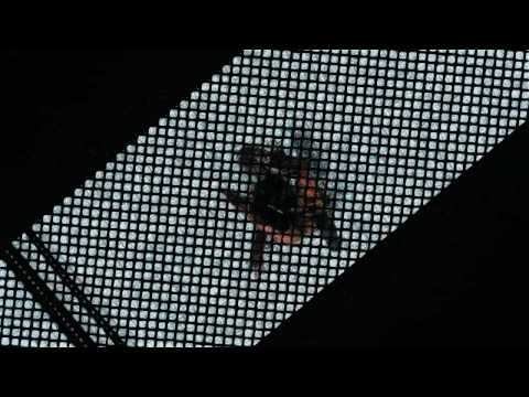 Super Street Fighter 4 - Juri vs ChunLi