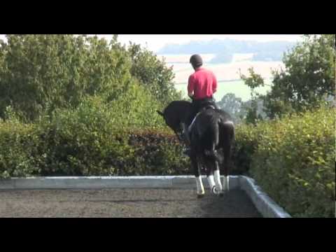 Emile Faurie's working-in routine: Part 1 TRAILER