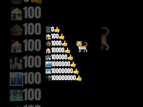 Help the cat