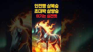 [실전베팅] 초대박=삼쌍승 안전빵=복연승 경마 이기는 베팅법! #경마#shorts#horse#강철경마#강철경마tv#조교#불세출파이어#한국마사회#고배당#경마예상지#경마고수#경마의신