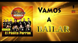 Grupo Dinastía Mendoza - El Pasito Perrón (Video Letra Oficial)