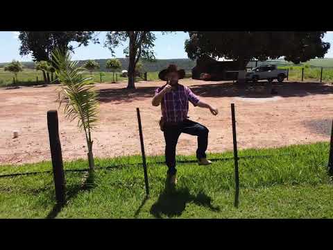 Fazenda 3 IRMÃS em Alto Garças-MT  - Proprietário Walyson da Agropecuária Só Sal -