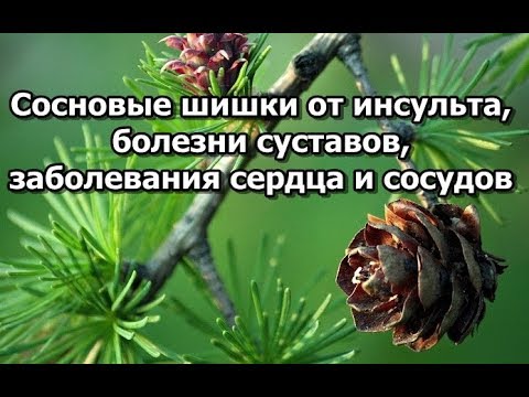 Народные лечения коленного сустава синовит коленного сустава Мрт коленного сустава в екатеринбурге где и цены
