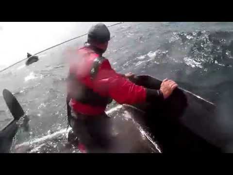 Scharbeutz 15.05.2016