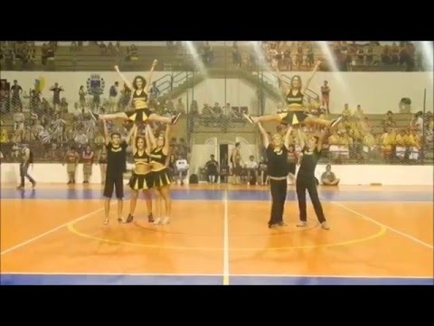 TEXUGUETES UNESP BAURU