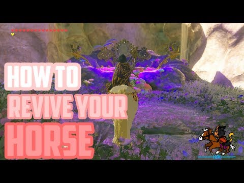 YouTube video about: How to revive your horse in breath of the wild?