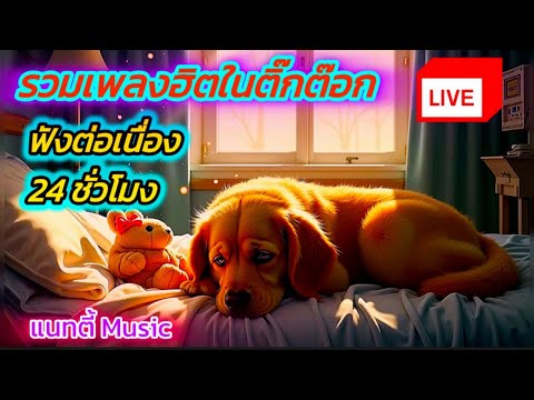 🔴LIVE สด เพลงในติ๊กต๊อก ฟังเพลงออนไลน์ต่อเนื่อง เพลงใหม่เพราะๆ
