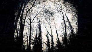 Patti Smith &amp; Kronos Quartet-Mercy Is. OST from Noah (subtitulada al español)