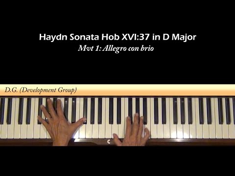 Haydn Sonata Hob XVI:37 1st mvt Piano Tutorial