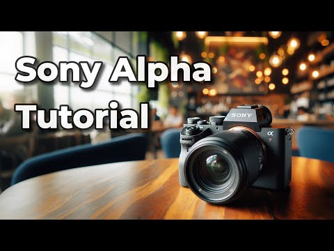 Sony Alpha 7 IV für Anfänger - das große Tutorial