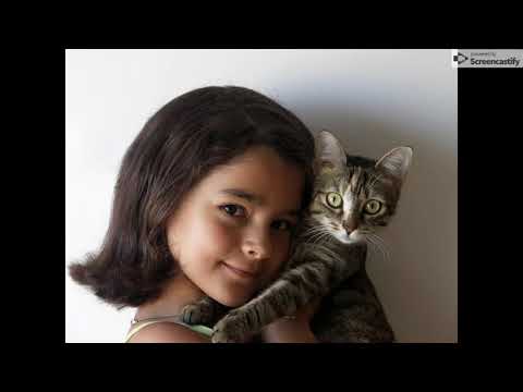 Cat pictures and emotion 2019: A demonstration multimedia presentation